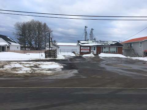 Animal Hospital On Hwy 11B